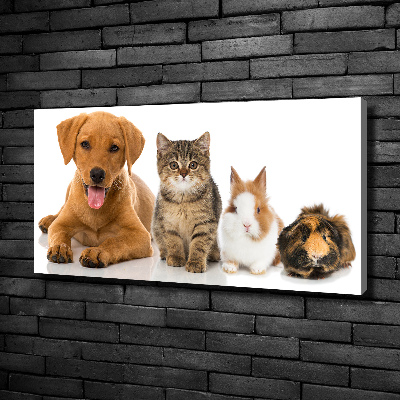 Quadro stampa su tela Cane e gatto