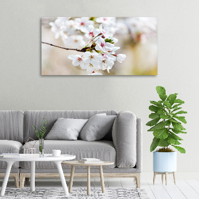 Quadro su tela Fiori di ciliegio