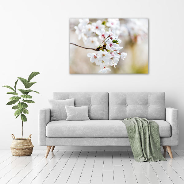 Quadro su tela Fiori di ciliegio