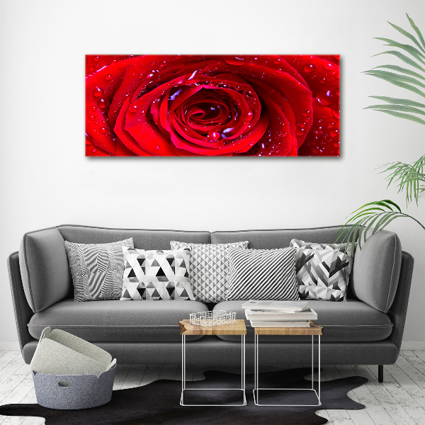 Foto quadro su tela Fiore di rosa