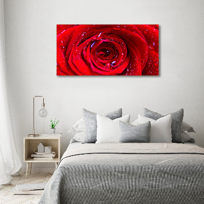 Foto quadro su tela Fiore di rosa