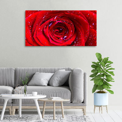 Foto quadro su tela Fiore di rosa