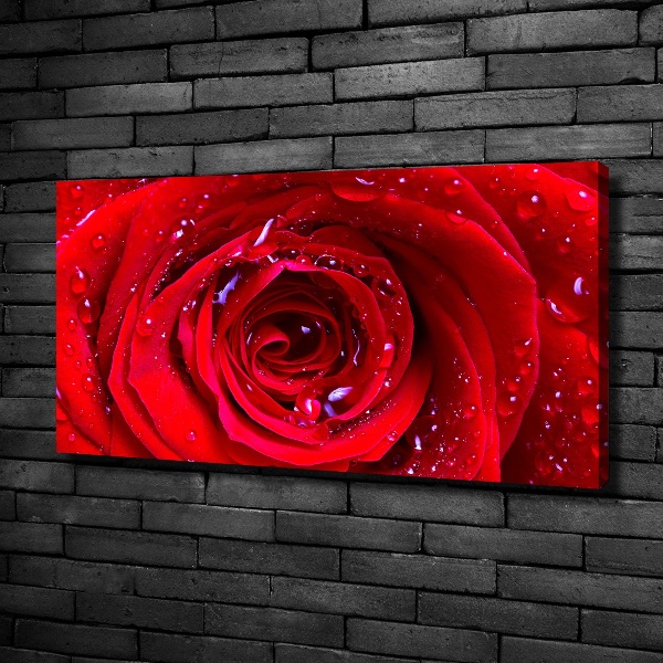 Foto quadro su tela Fiore di rosa