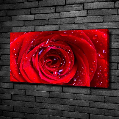 Foto quadro su tela Fiore di rosa