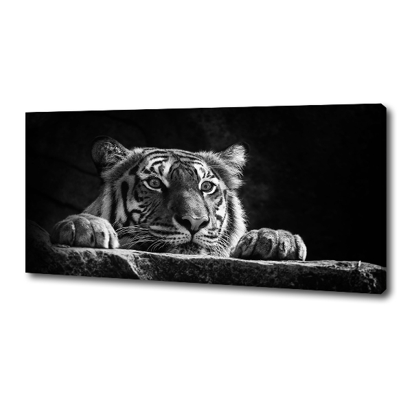 Foto quadro su tela Tigre