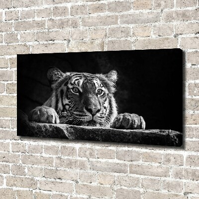 Foto quadro su tela Tigre