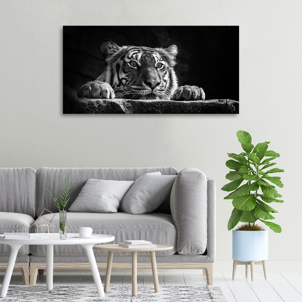 Foto quadro su tela Tigre