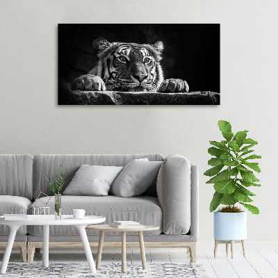 Foto quadro su tela Tigre