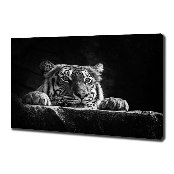 Foto quadro su tela Tigre