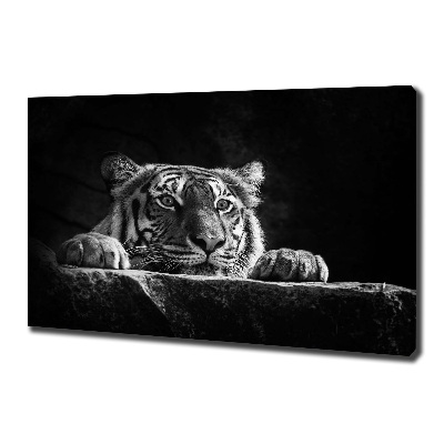 Foto quadro su tela Tigre