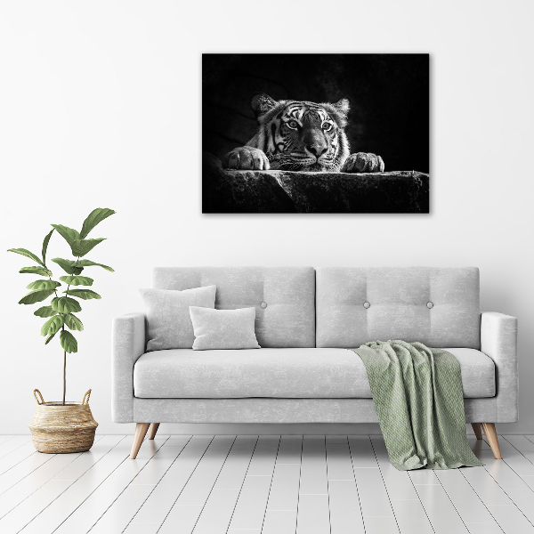 Foto quadro su tela Tigre