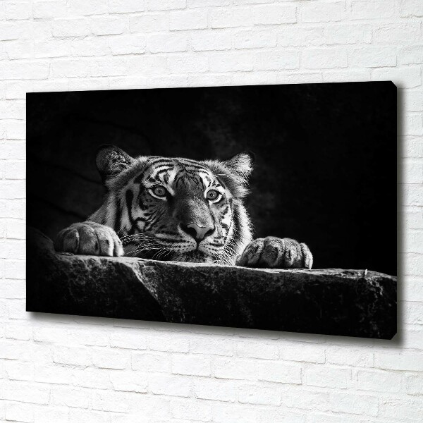 Foto quadro su tela Tigre
