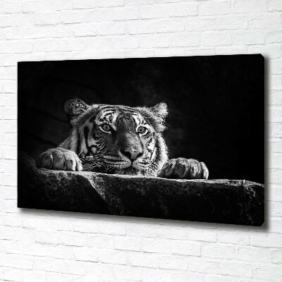 Foto quadro su tela Tigre