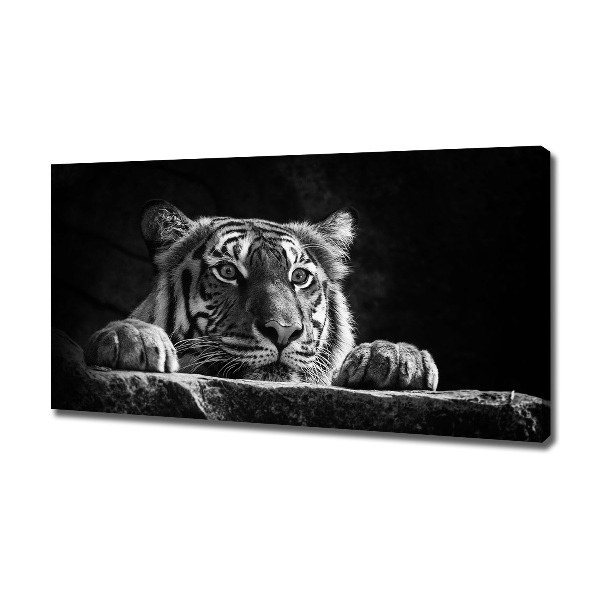 Foto quadro su tela Tigre