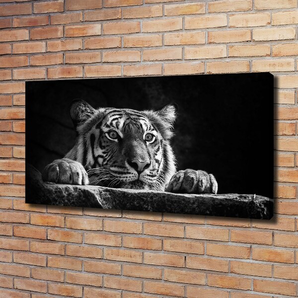 Foto quadro su tela Tigre