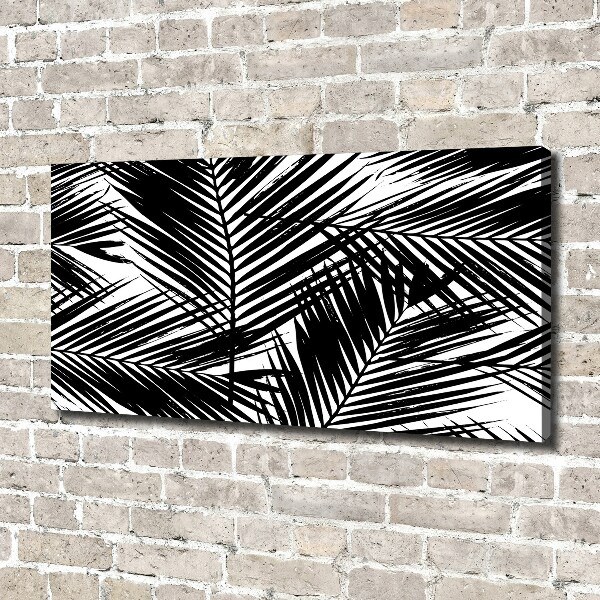 Quadro su tela Foglie di palma