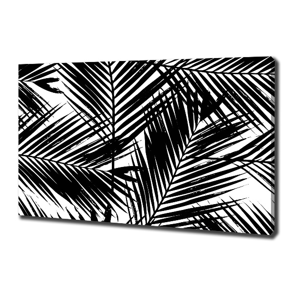 Quadro su tela Foglie di palma