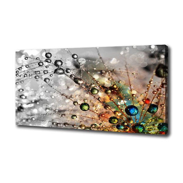 Foto quadro su tela Semi di tarassaco