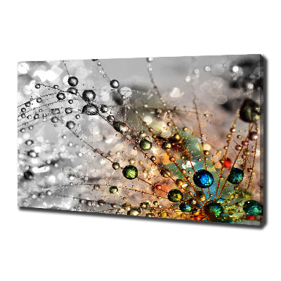 Foto quadro su tela Semi di tarassaco