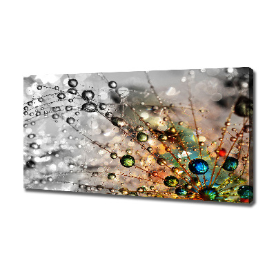 Foto quadro su tela Semi di tarassaco