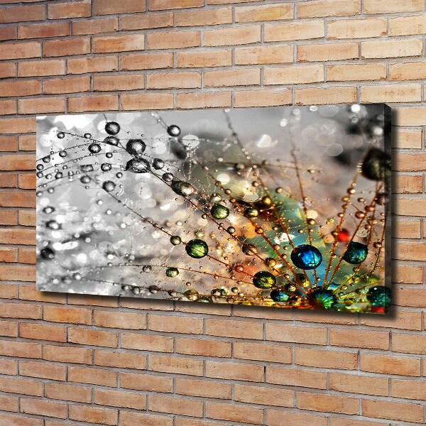 Foto quadro su tela Semi di tarassaco