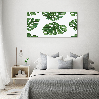 Quadro stampa su tela Monstera