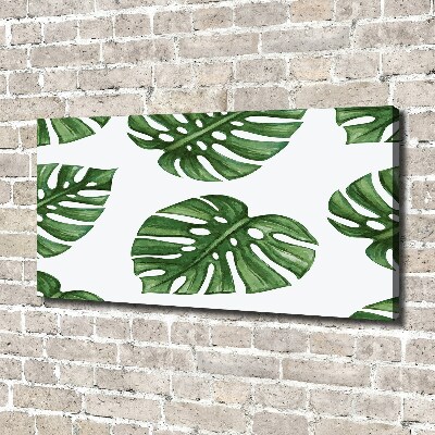 Quadro stampa su tela Monstera
