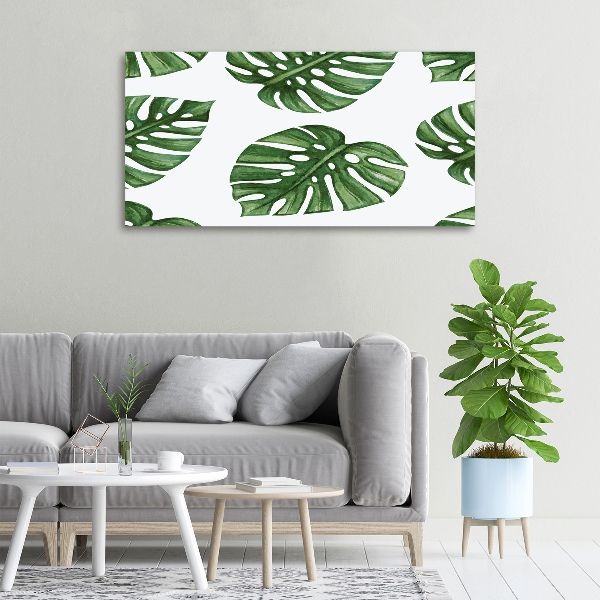 Quadro stampa su tela Monstera