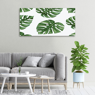 Quadro stampa su tela Monstera