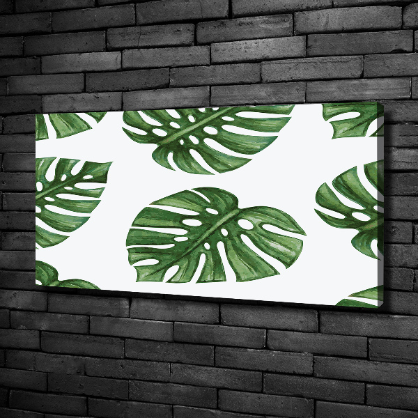 Quadro stampa su tela Monstera