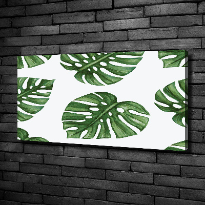 Quadro stampa su tela Monstera