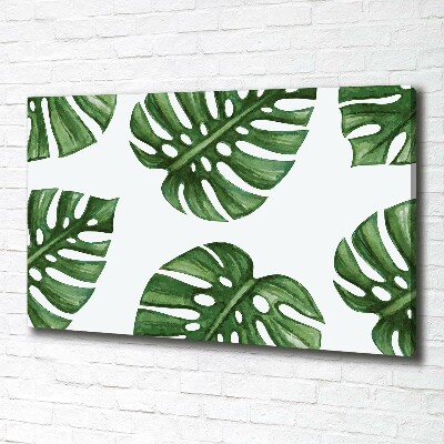 Quadro stampa su tela Monstera