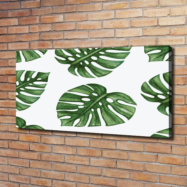 Quadro stampa su tela Monstera