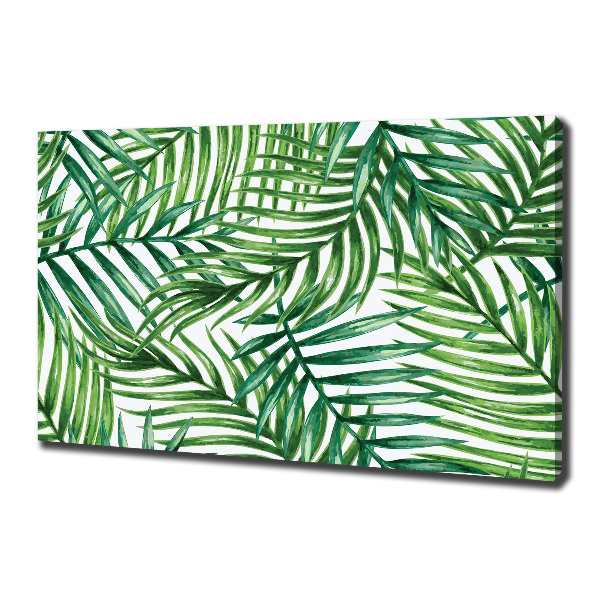 Quadro su tela Foglie di palma