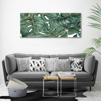 Foto quadro su tela Monstera