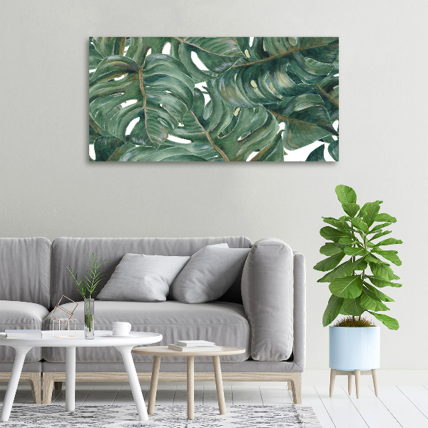 Foto quadro su tela Monstera