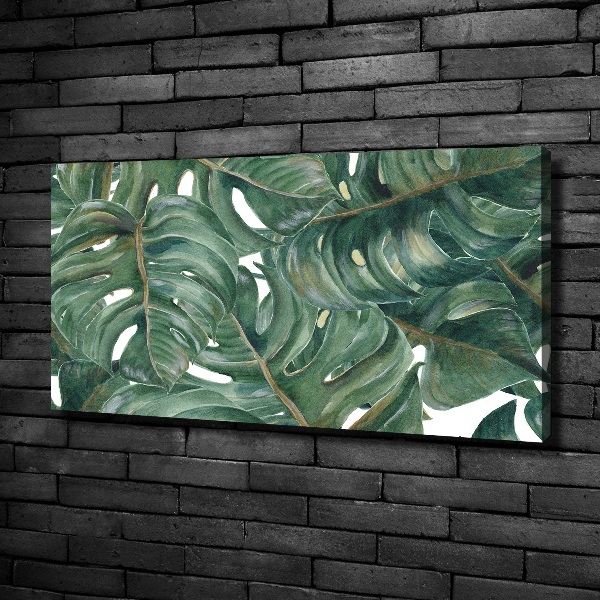 Foto quadro su tela Monstera