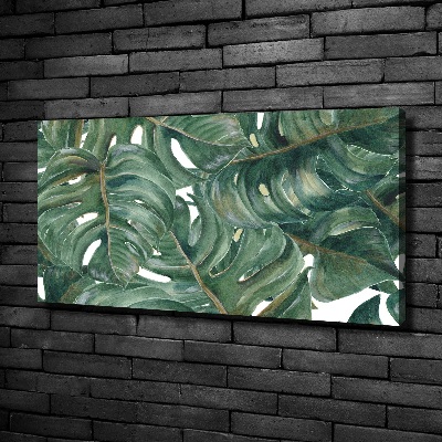 Foto quadro su tela Monstera