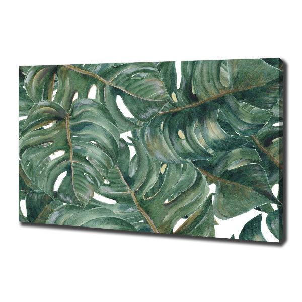 Foto quadro su tela Monstera