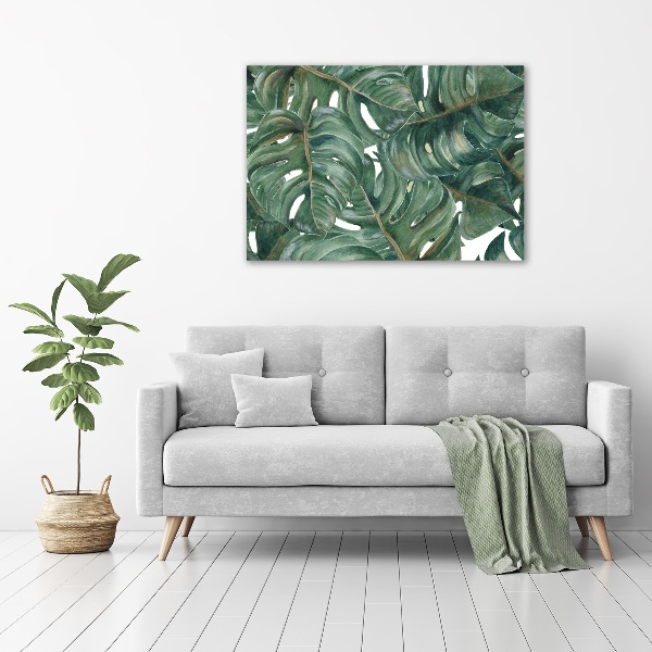 Foto quadro su tela Monstera