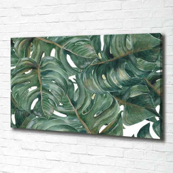 Foto quadro su tela Monstera