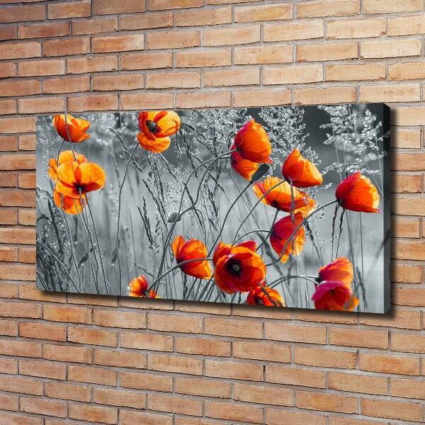 Quadro stampa su tela Papaveri di campo