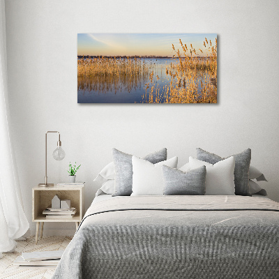 Foto quadro su tela Canna d'acqua