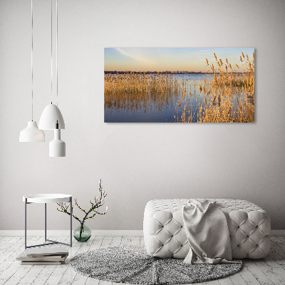 Foto quadro su tela Canna d'acqua