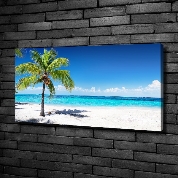 Quadro su tela Spiaggia tropicale