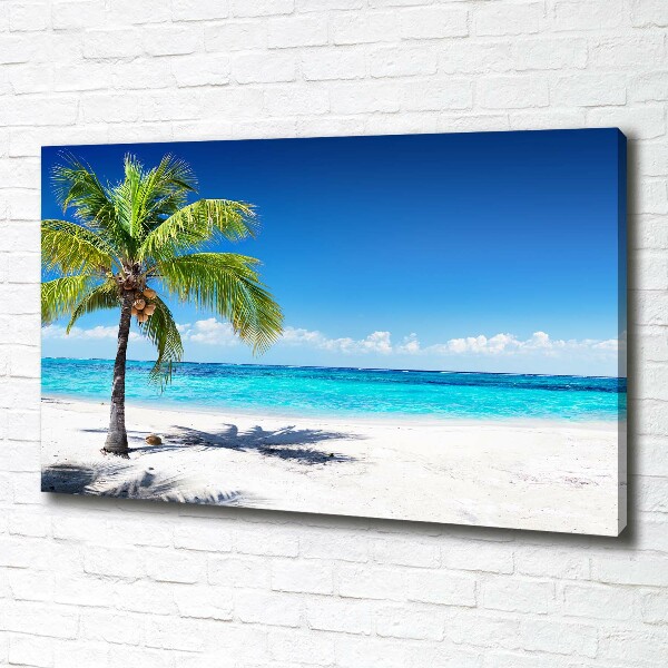 Quadro su tela Spiaggia tropicale