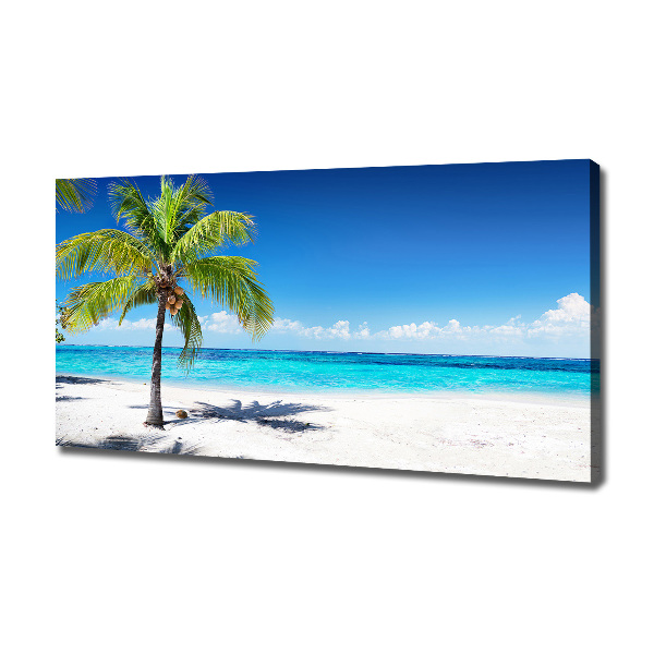 Quadro su tela Spiaggia tropicale