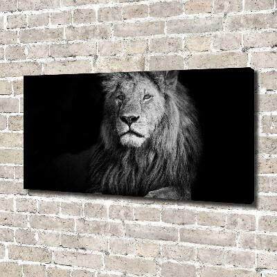 Foto quadro su tela Leone
