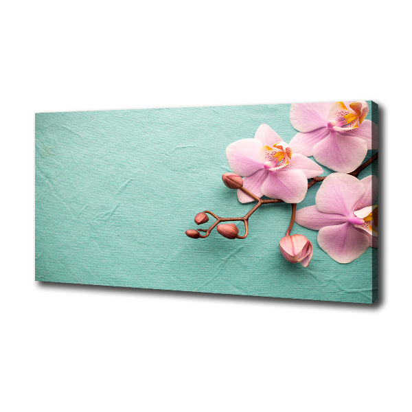 Foto quadro su tela Orchidea