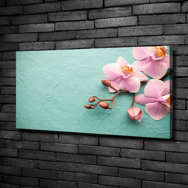Foto quadro su tela Orchidea